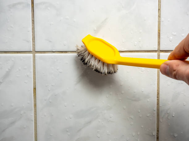 Certified Mold Removal in Bayville, NY