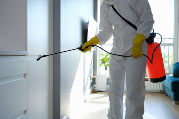 Best Toxic Mold Removal  in Bayville, NY