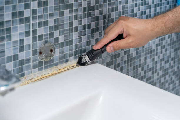 Best Office Mold Removal Services  in Bayville, NY